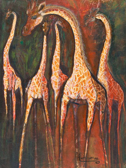 SAFARI - GIRAFFES
