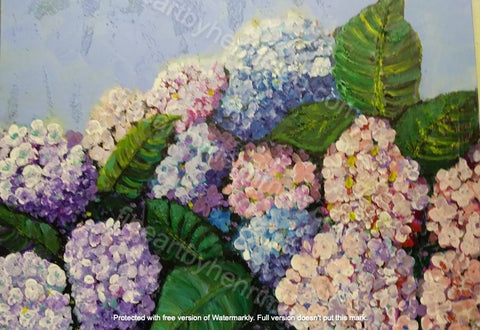 Hydrangeas III